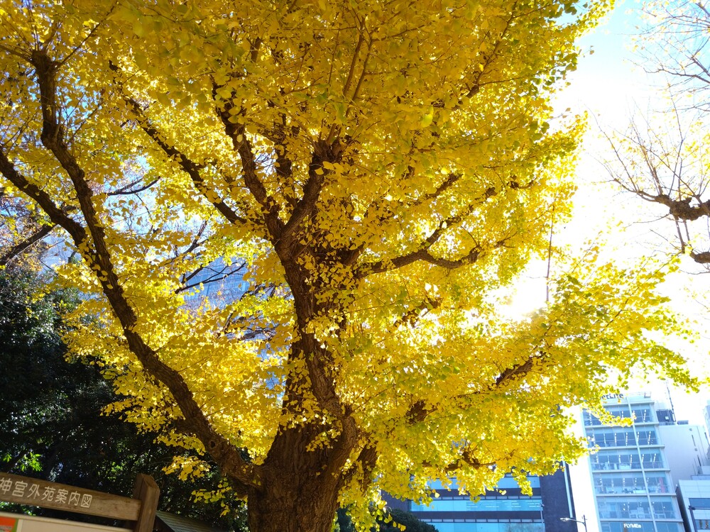 かえって絶景が広がっていたりする