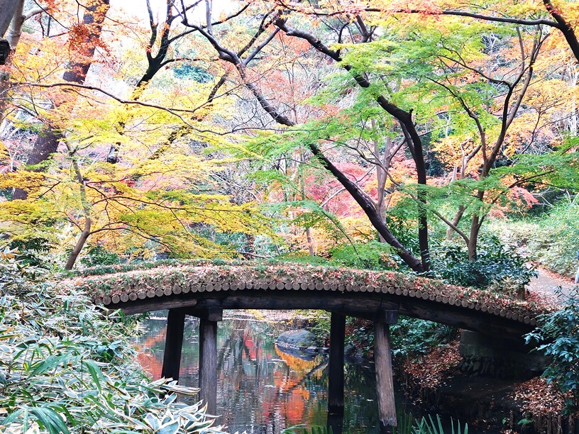 六義園の山陰橋