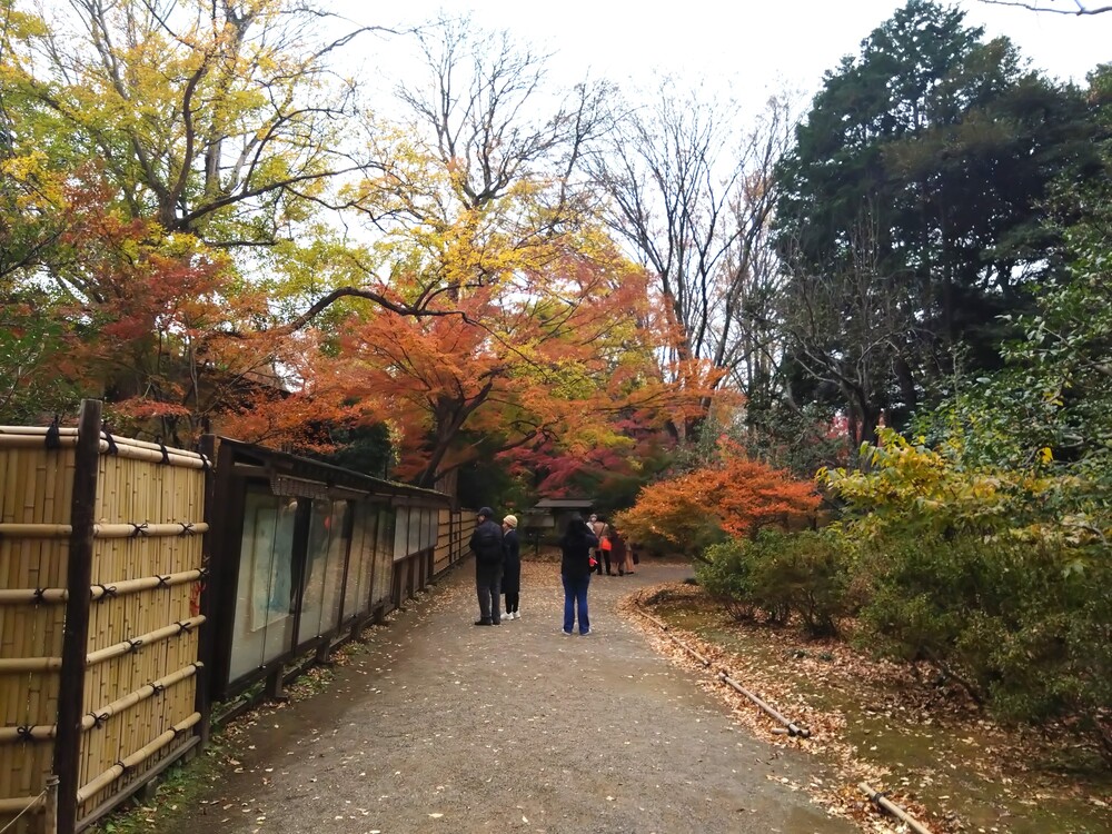 六義園の紅葉9